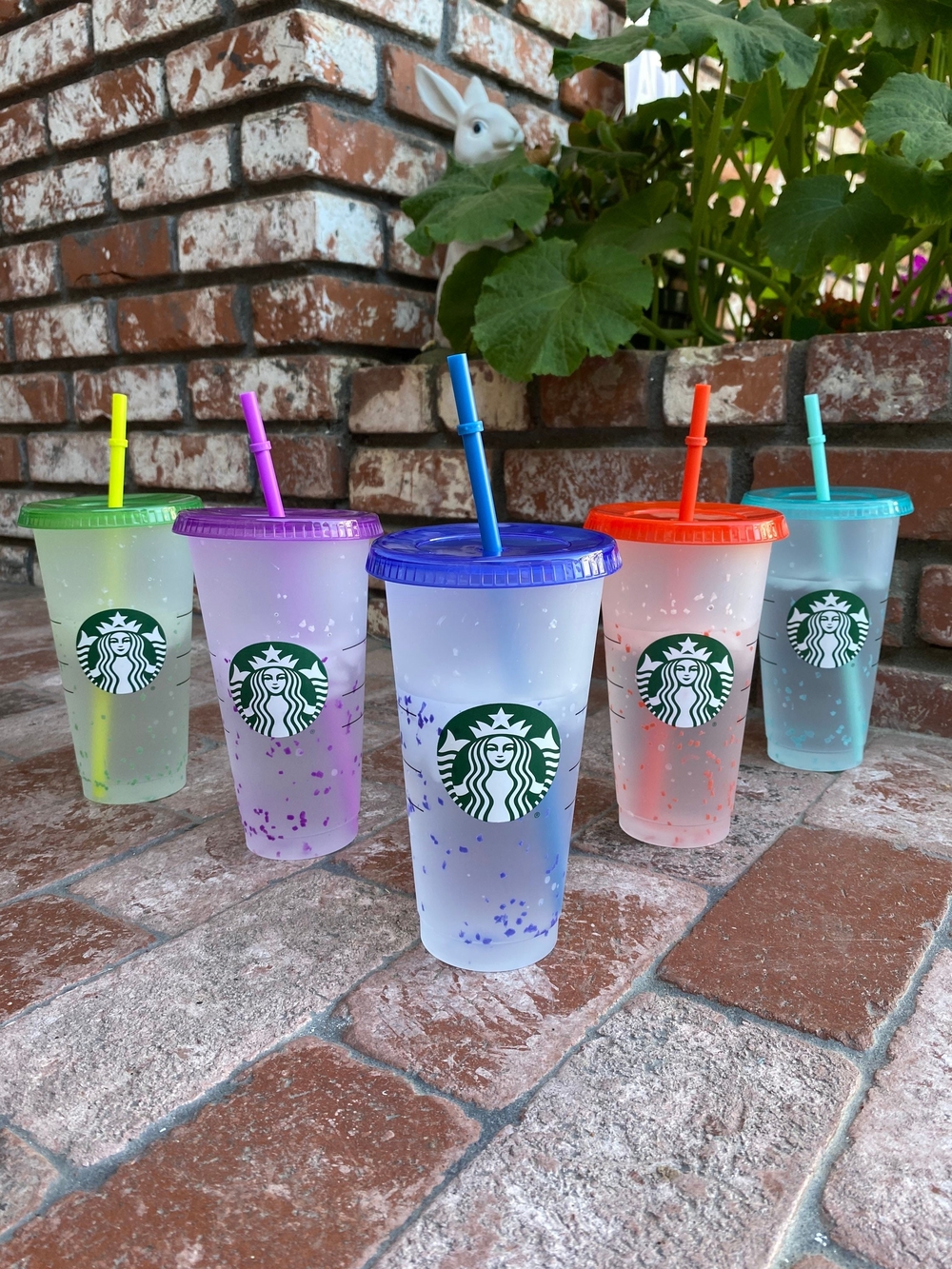 Starbucks Reusable Confetti Tumbler - 5 Pack